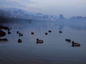 Na lepom, plavom Dunavu © According to Kristina