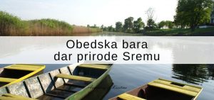 Obedska bara - dar prirode Sremu © According to Kristina