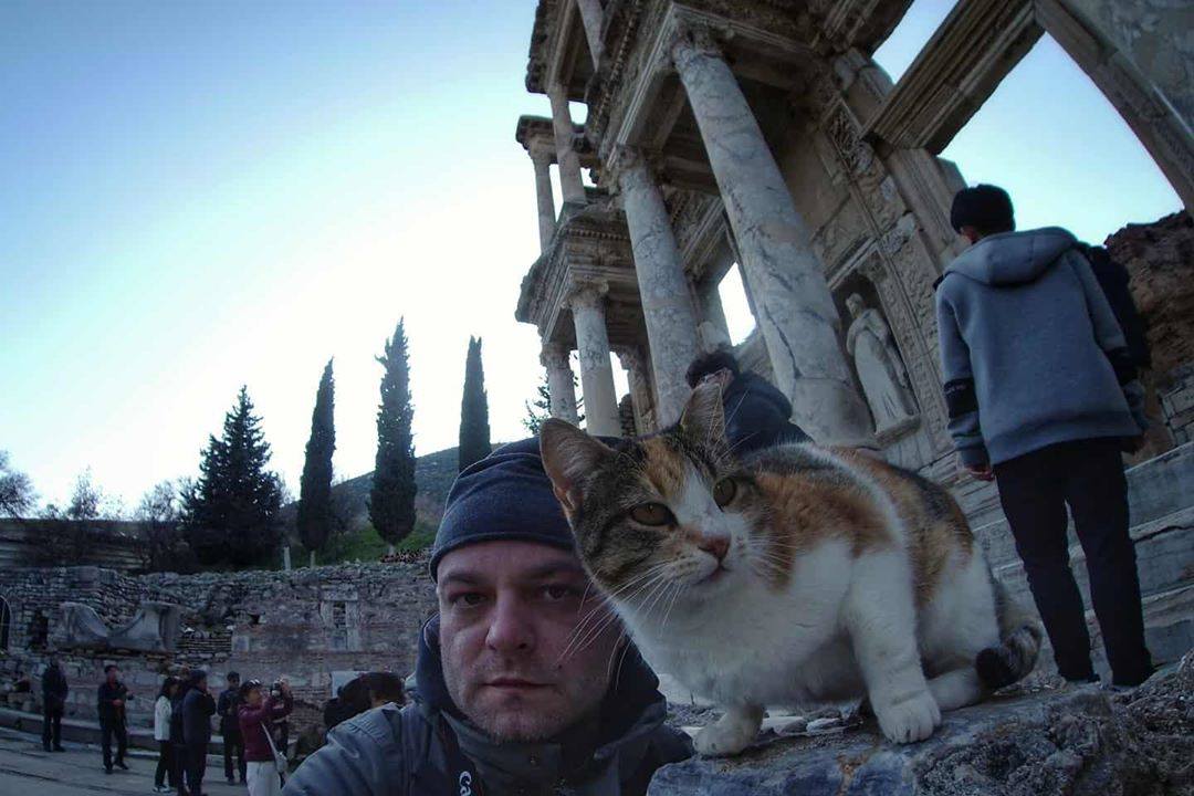 Sve mačke Efesa © Uroš Nedeljković